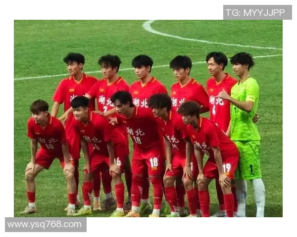 武汉足球队状态引发热议球迷与专家观点大相径庭