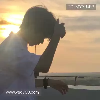 费艾贞